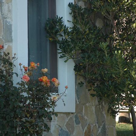 Mavikarga Bozcaada Bed & Breakfast Dış mekan fotoğraf