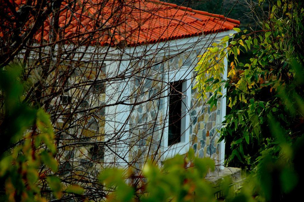 Mavikarga Bozcaada Bed & Breakfast Dış mekan fotoğraf
