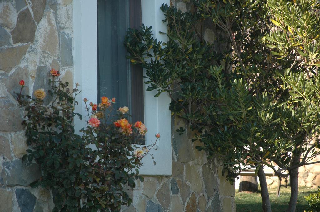 Mavikarga Bozcaada Bed & Breakfast Dış mekan fotoğraf
